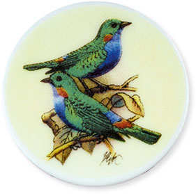 Collection de 12 fèves Épiphanie 2020 - SERVICE HISTOIRE NATURELLE - Fève n°1