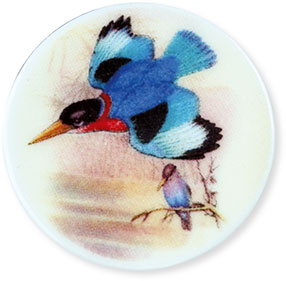 Collection de 12 fèves Épiphanie 2020 - SERVICE HISTOIRE NATURELLE - Fève n°2