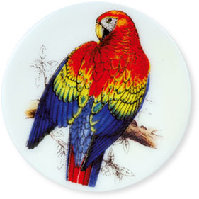 Collection de 12 fèves Épiphanie 2020 - SERVICE HISTOIRE NATURELLE - Fève n°3