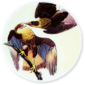 Collection de 12 fèves Épiphanie 2020 - SERVICE HISTOIRE NATURELLE - Fève n°4