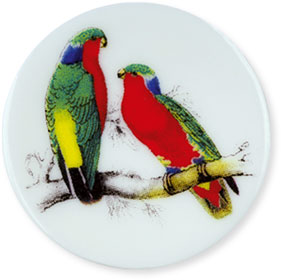 Collection de 12 fèves Épiphanie 2020 - SERVICE HISTOIRE NATURELLE - Fève n°5