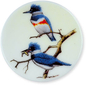 Collection de 12 fèves Épiphanie 2020 - SERVICE HISTOIRE NATURELLE - Fève n°6
