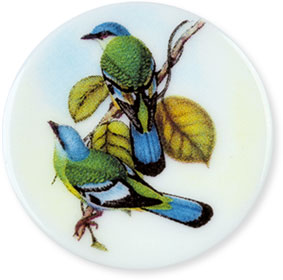 Collection de 12 fèves Épiphanie 2020 - SERVICE HISTOIRE NATURELLE - Fève n°8
