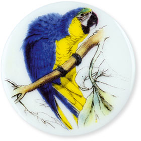 Collection de 12 fèves Épiphanie 2020 - SERVICE HISTOIRE NATURELLE - Fève n°9