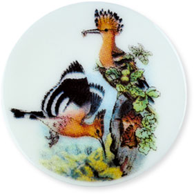 Collection de 12 fèves Épiphanie 2020 - SERVICE HISTOIRE NATURELLE - Fève n°12