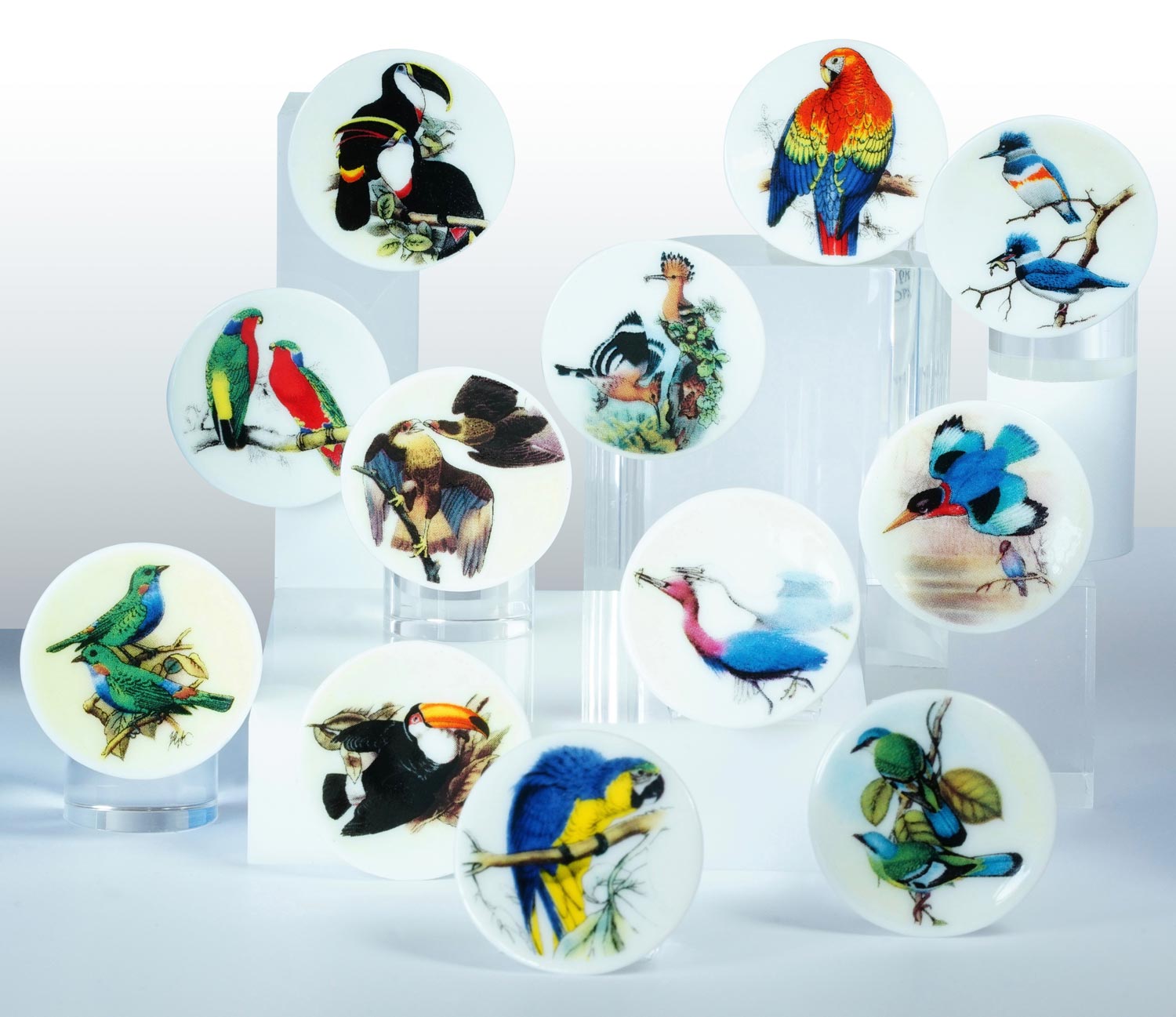 Série de fèves "Histoire Naturelle" par le Créateur de fèves "Prime"