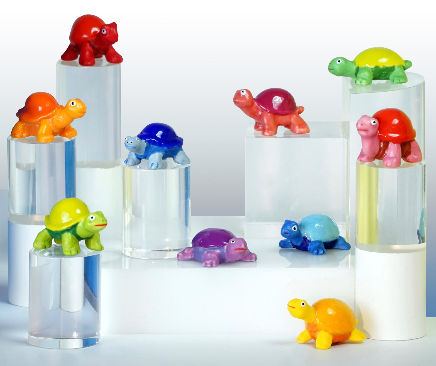 Série de fèves "JOYEUSES TORTUES" par le créateur de fèves "Prime"